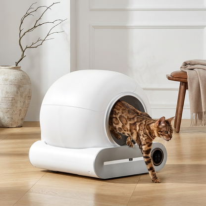 Litière Automatique La Maison Du Chat - Hygiène et Design Premium